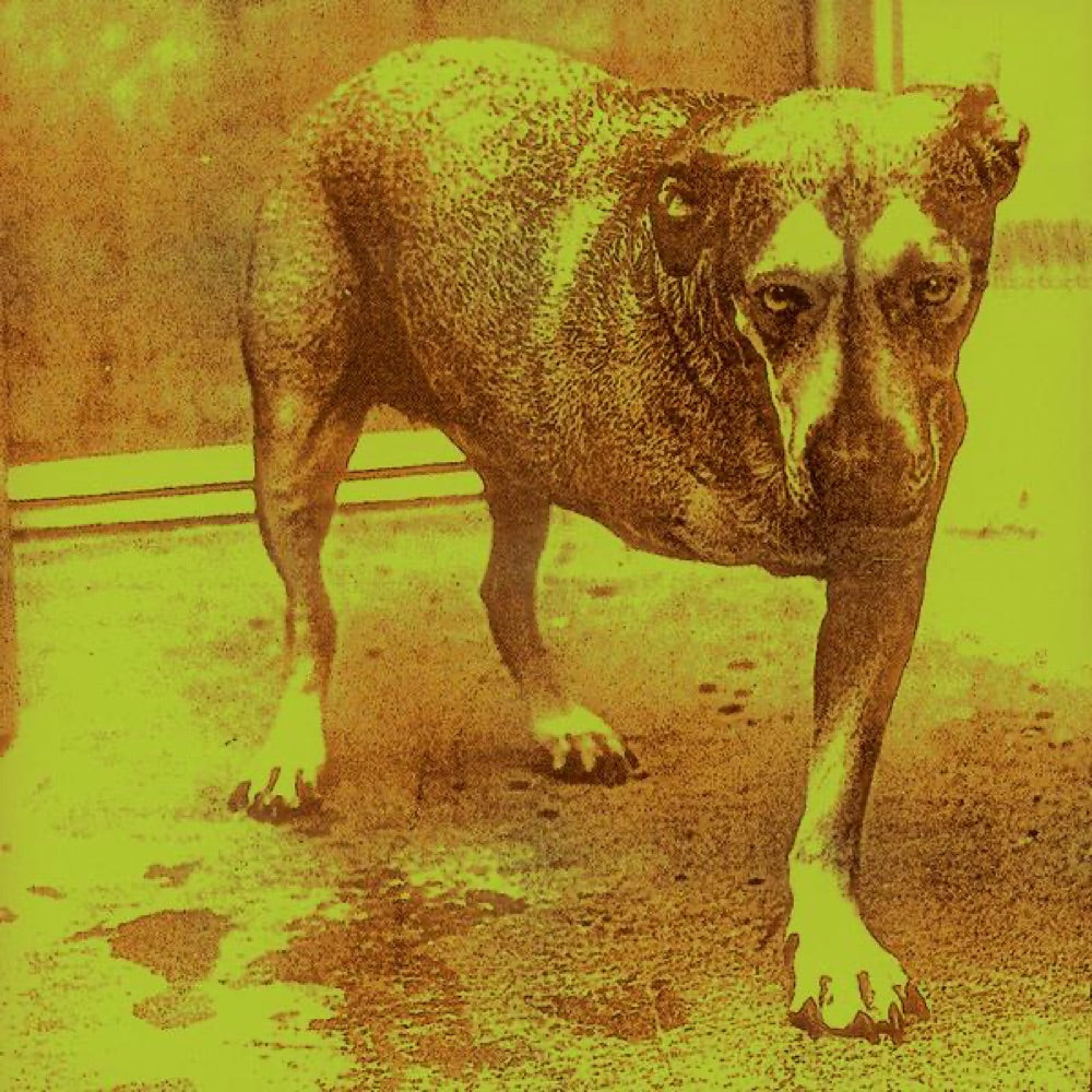 Alice in Chains Alice in Chains CD cover art