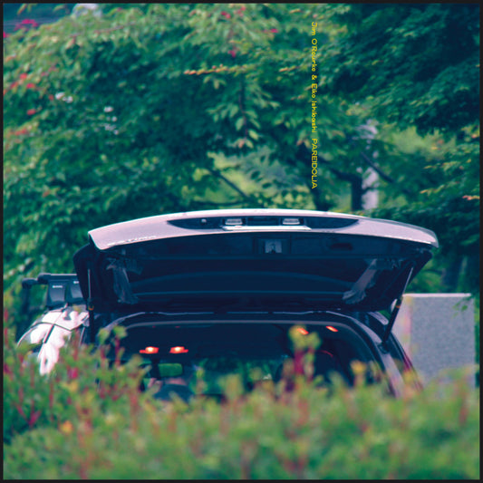 Ishibashi, Eiko & Jim O'rourke "Pareidolia" LP