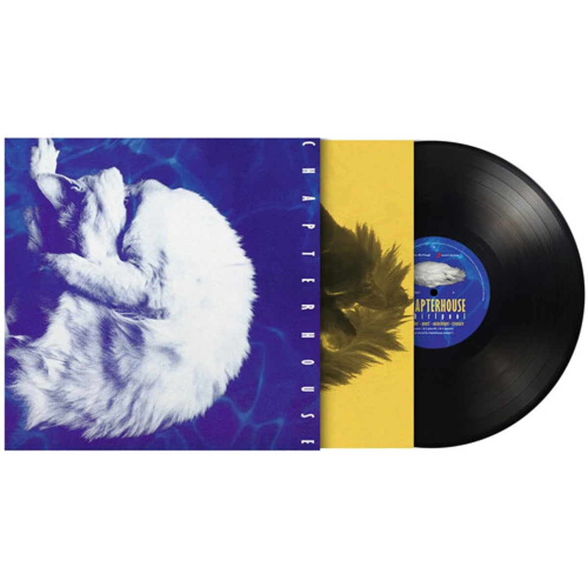 Chapterhouse "Whirlpool" (180g; import) LP cover art