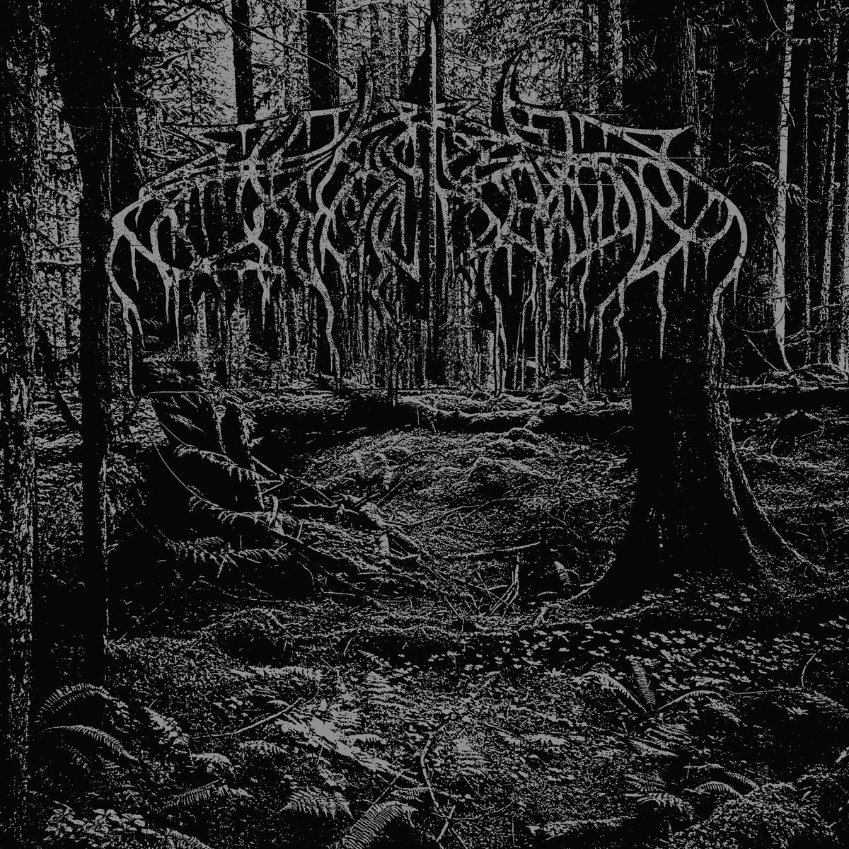 Wolves in the Throne Room - 2005 Demo album cover