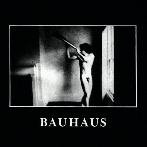 Bauhaus In the Flat Field album cover