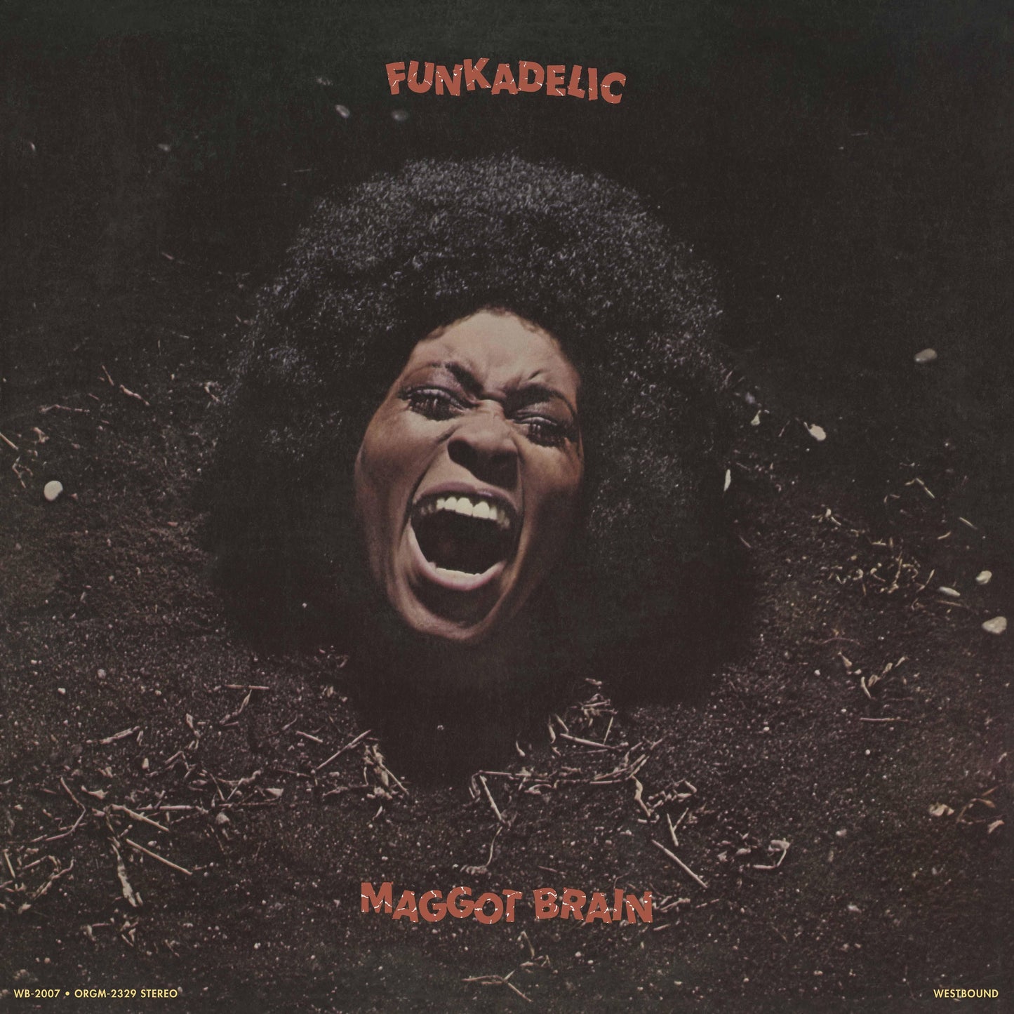 Funkadelic “Maggot Brain” LP