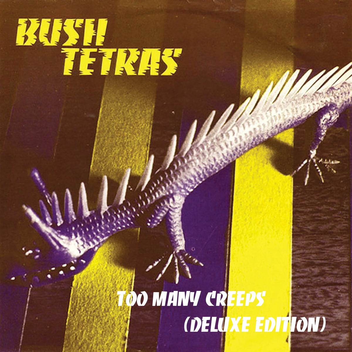 Bush Tetras "Too Many Creeps (Deluxe Reissue)" (Plum Vinyl) LP cover art