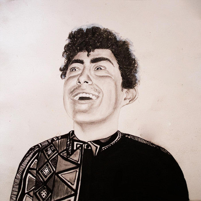 Hobo Johnson - The Rise of Hobo Johnson album cover