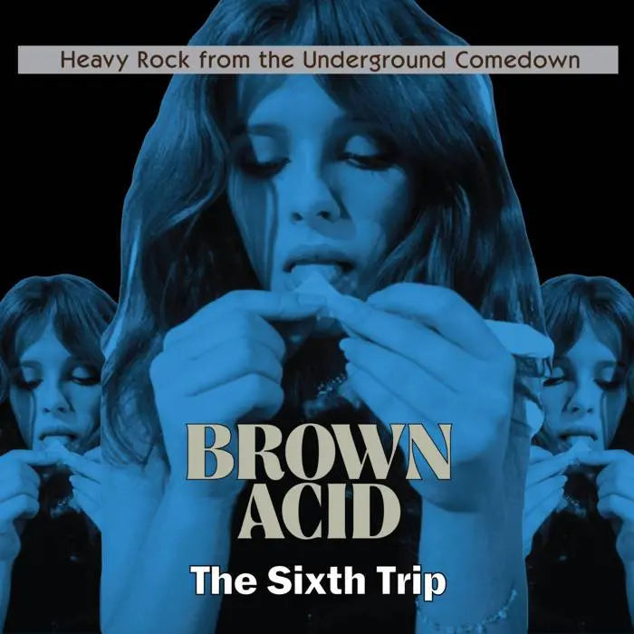 V/A "Brown Acid: The Sixth Trip" LP