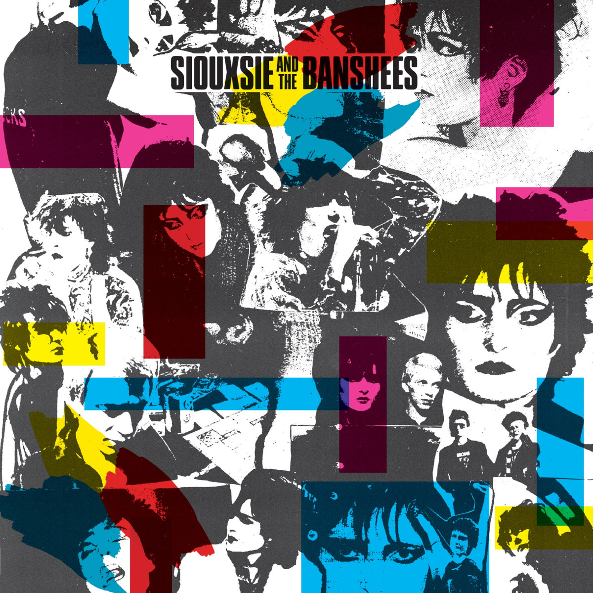 Siouxsie And The Banshees 