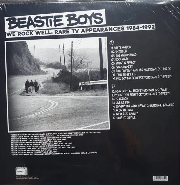 洋楽 BEASTIE BOYS WE ROCK WELL lp Beastie Boys 