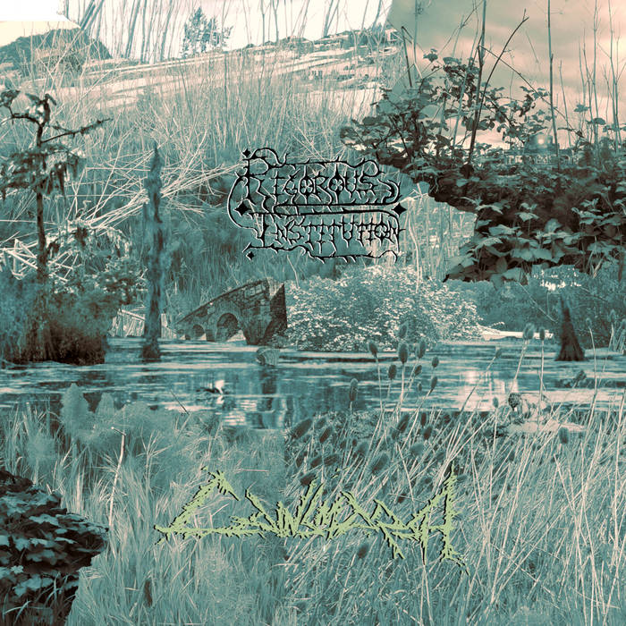 Rigorous Institution "Cainsmarch" LP