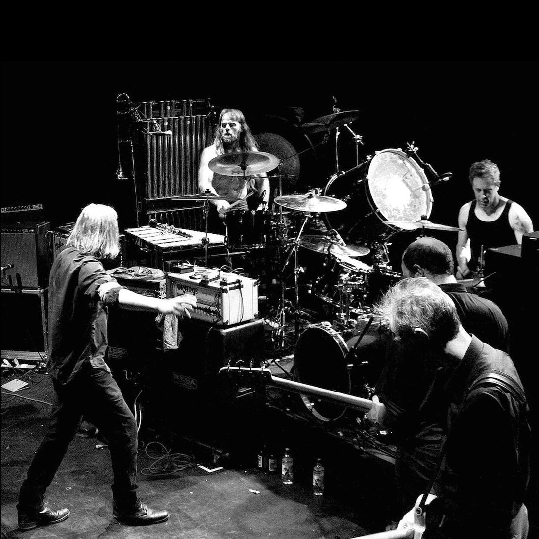 Swans "Birthing" Review