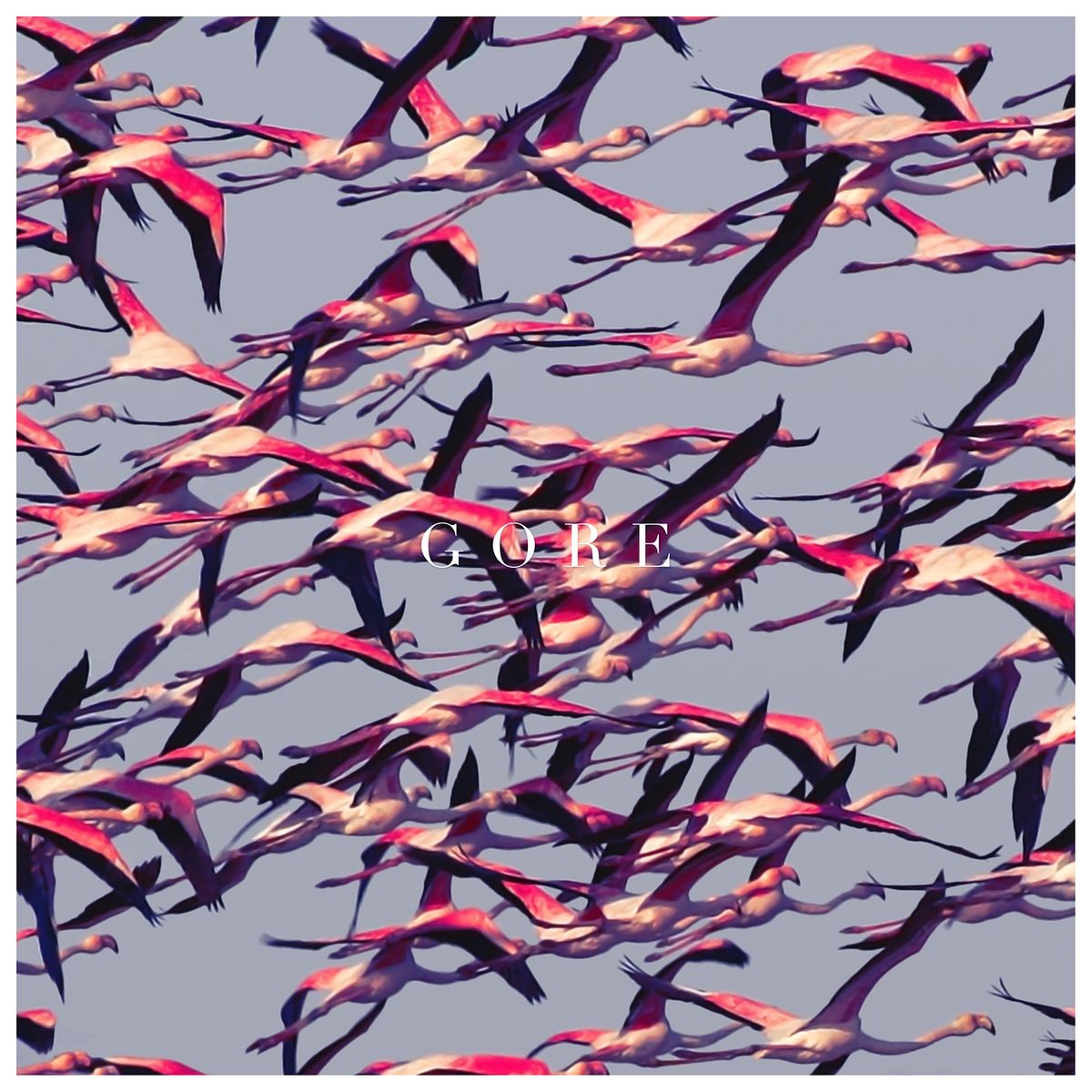 Deftones - Gore CD cover