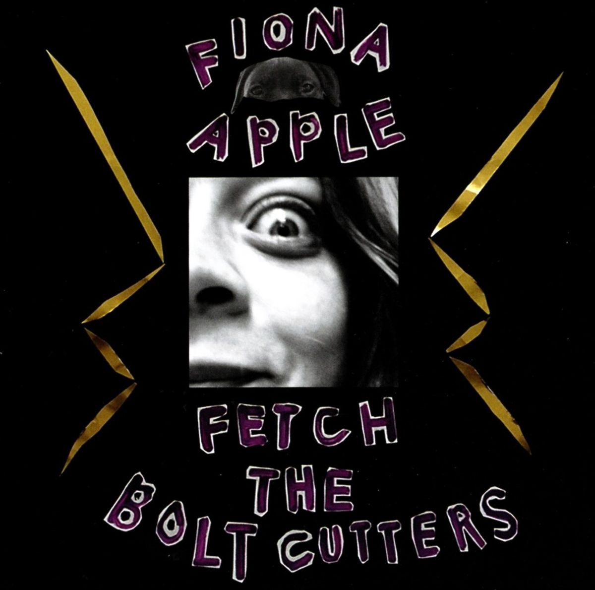 Fiona Apple - Fetch the Bolt Cutters CD cover