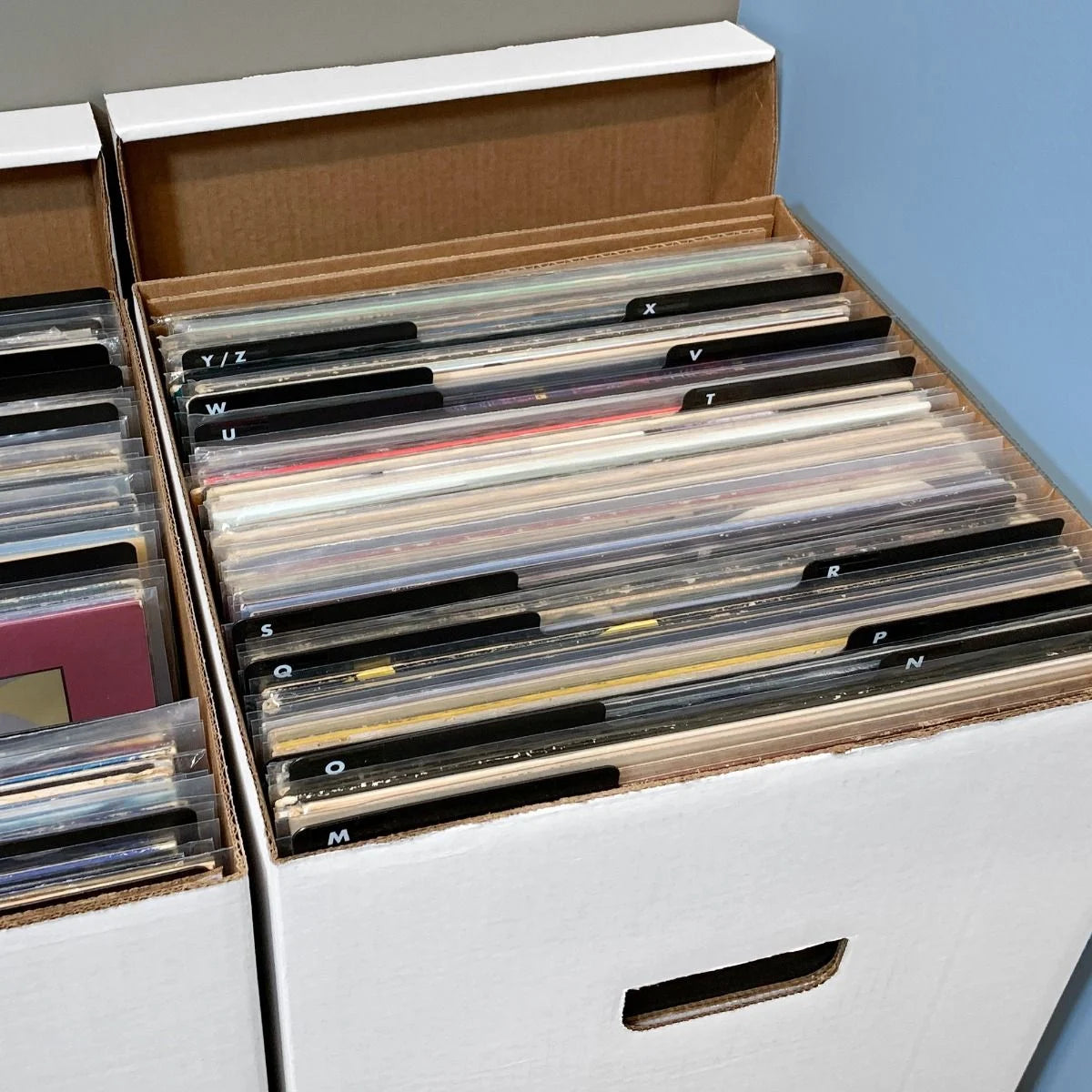 12 Inch Black Dividers