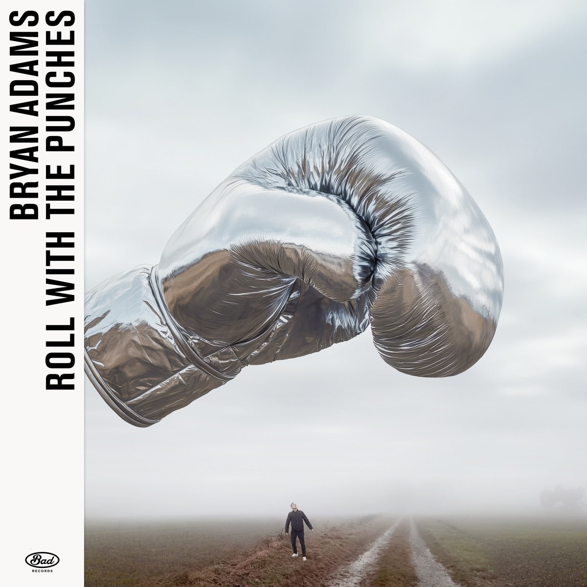 Bryan Adams Roll with the Punches album cover