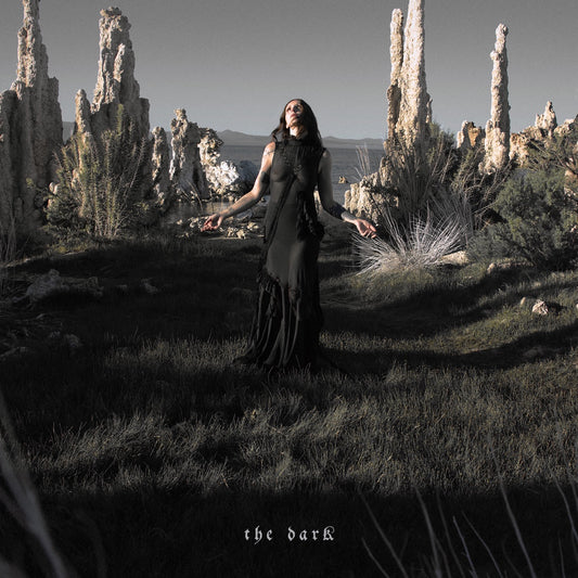 Chelsea Wolfe - The Dark LP cover art