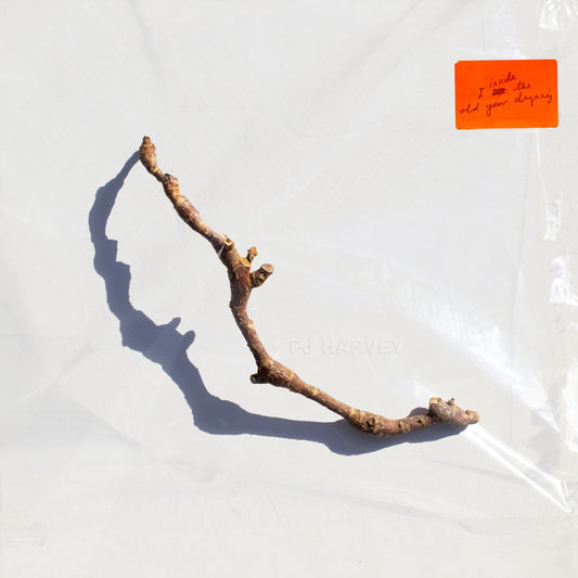 PJ Harvey - I Inside The Old Year Dying cover art