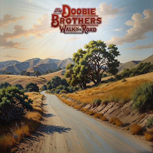 The Doobie Brothers Walk This Road album cover