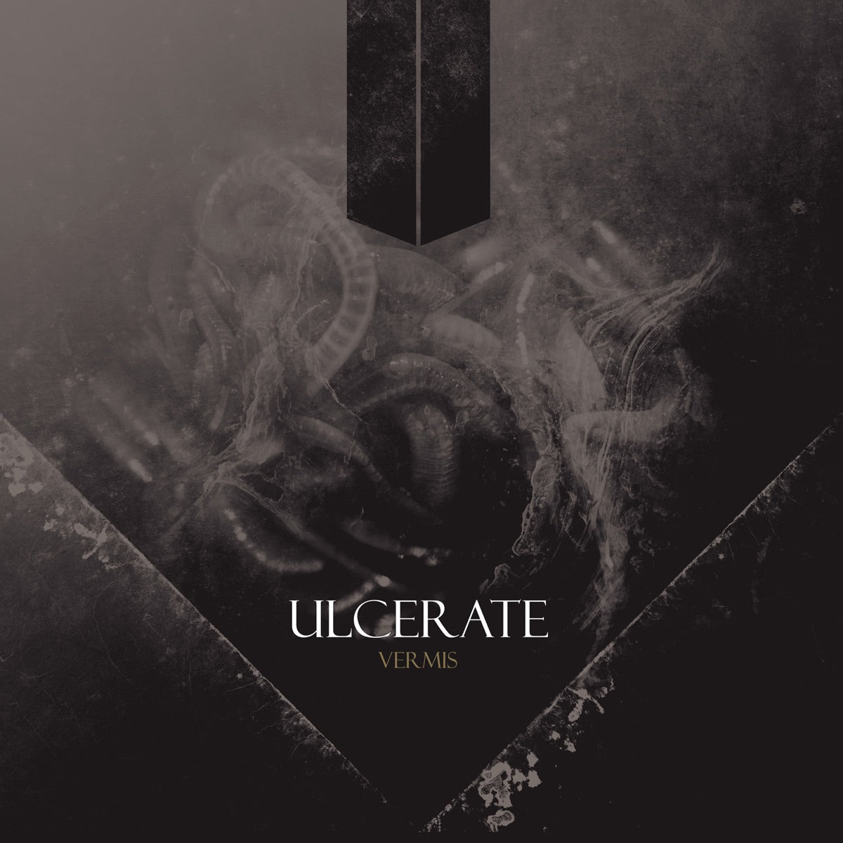 Ulcerate - Vermis album cover