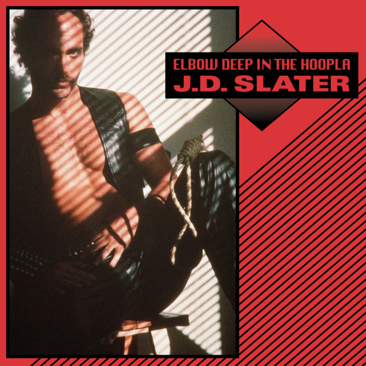 J.D. Slater "Elbow Deep In The Hoopla" LP cover art