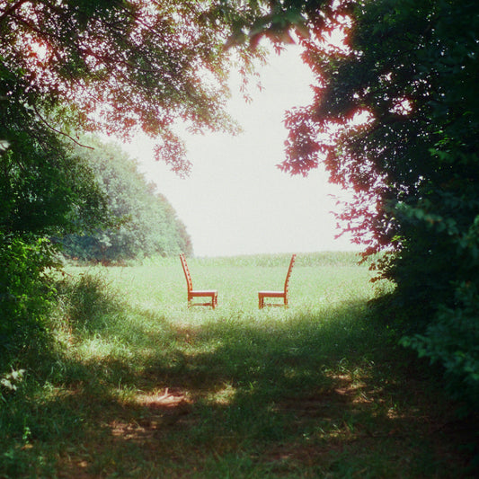 Ratboys - Singin' to an Empty Chair cover artwork