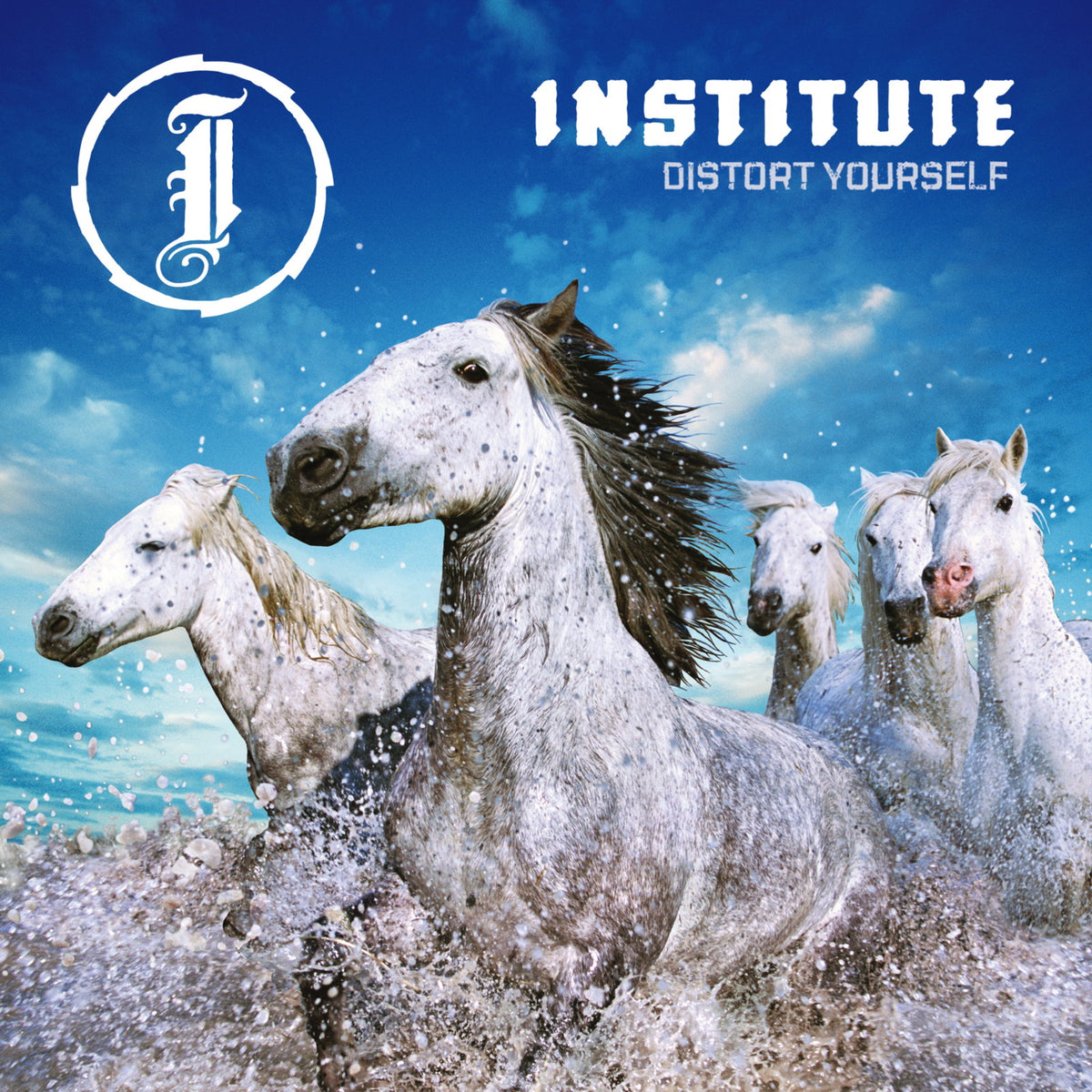 Institute - Distort Yourself square album cover art