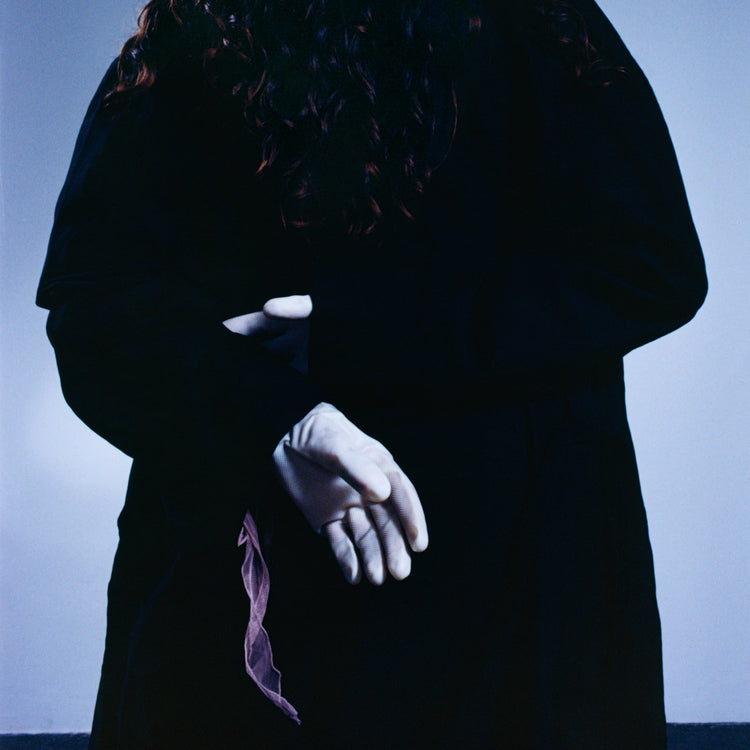 Friedberg "Goodwife" LP cover art
