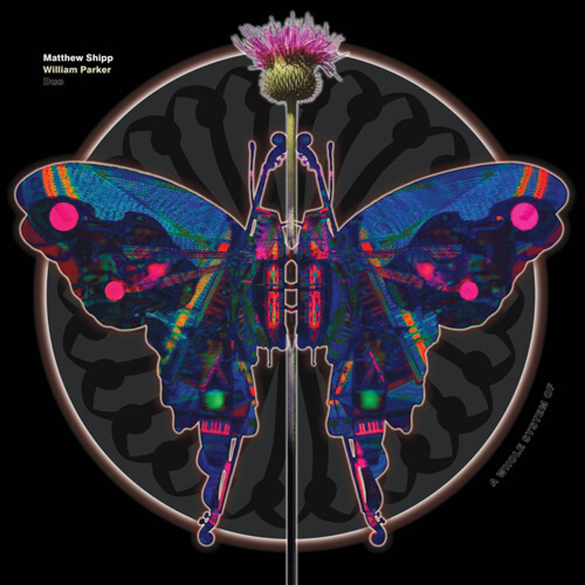 Matthew Shipp "A Whole System Of" LP cover art