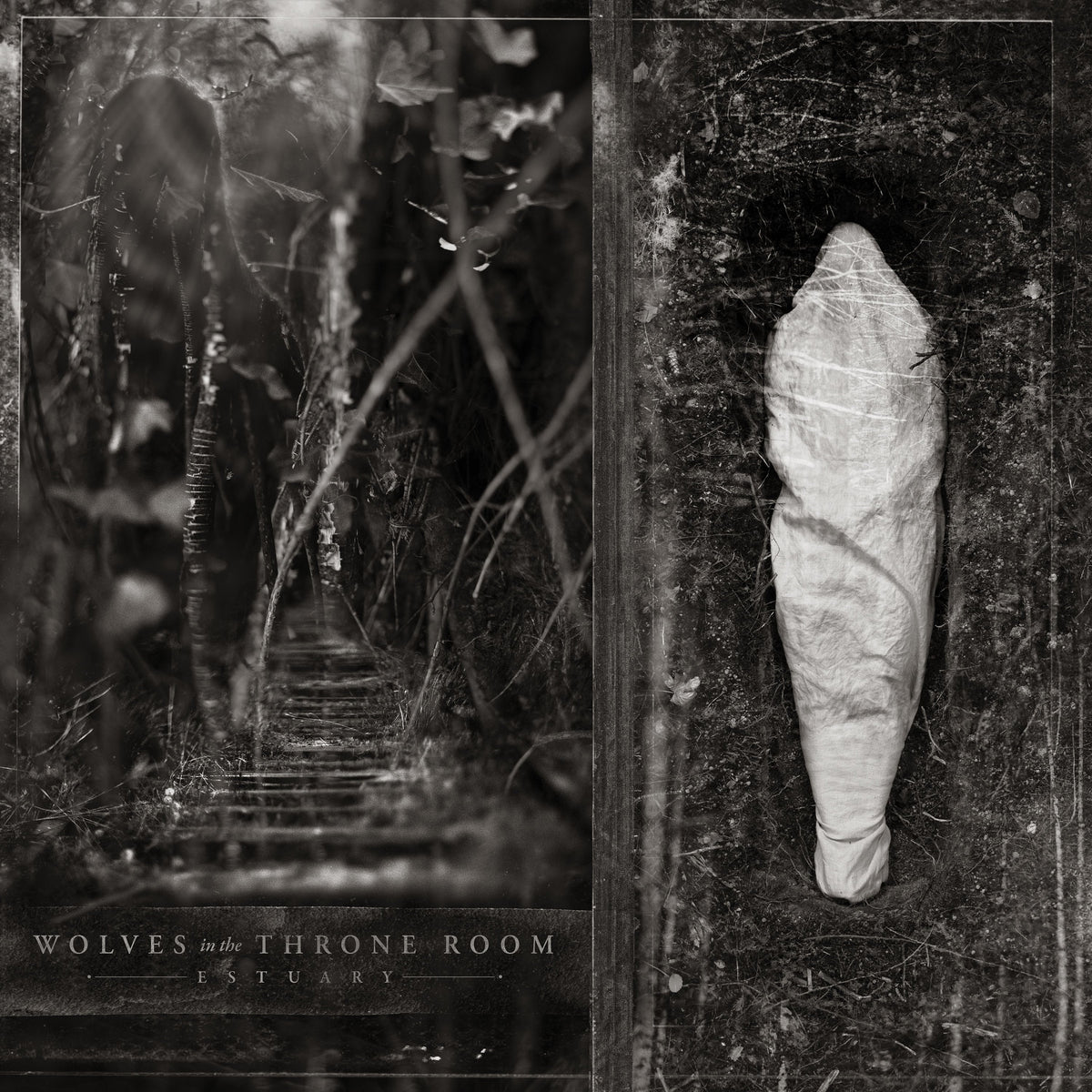 Wolves in the Throne Room Estuary cover art