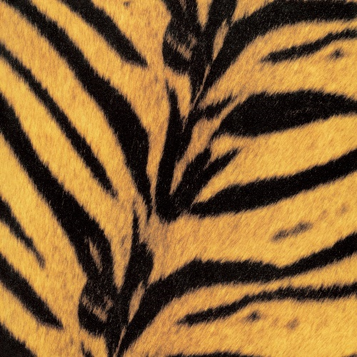 The High-Lows "Tigermobile" LP