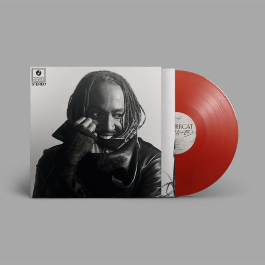 Thundercat "Distracted" LP