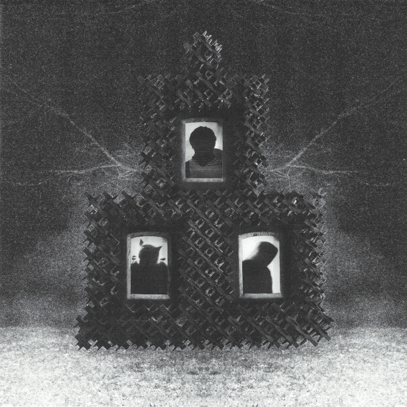 Henry J. Star "The Soft Apocalypse" LP
