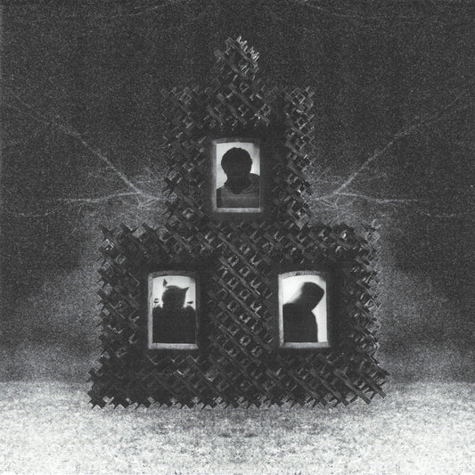 Henry J. Star "The Soft Apocalypse" LP