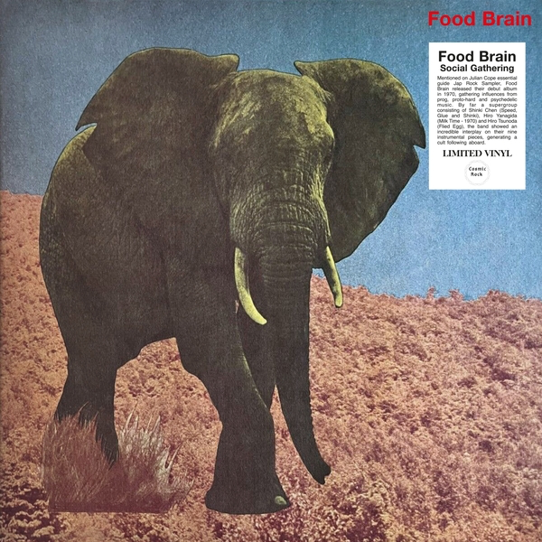 Food Brain “Social Gathering” LP