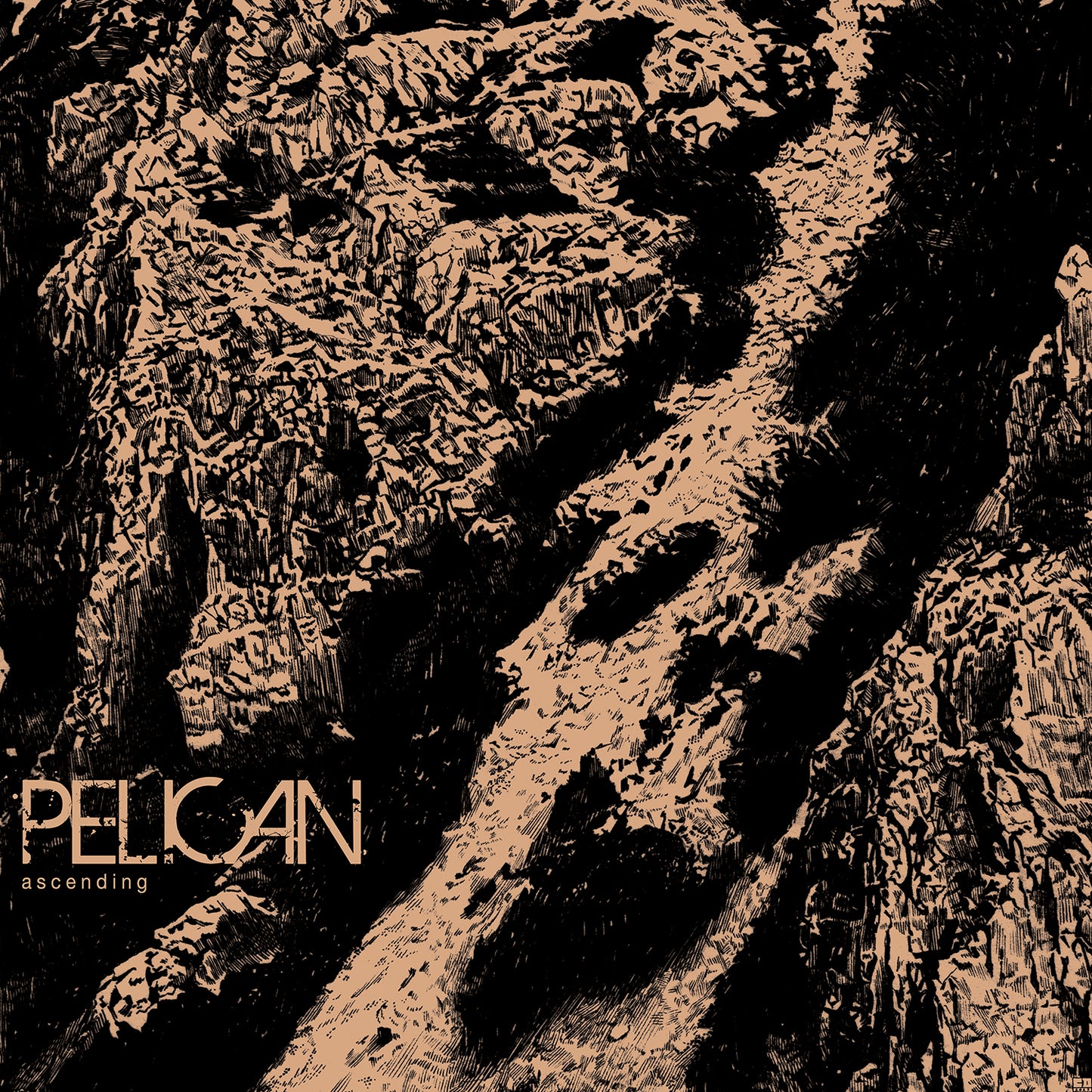 Pelican "Ascending" 12"