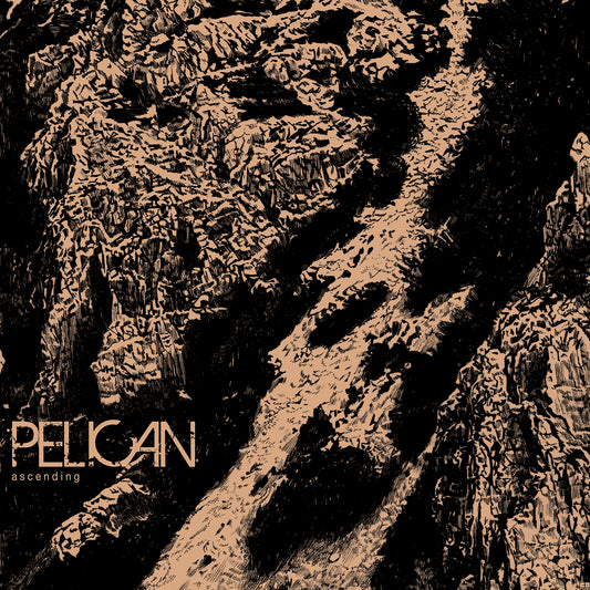 Pelican "Ascending" 12"
