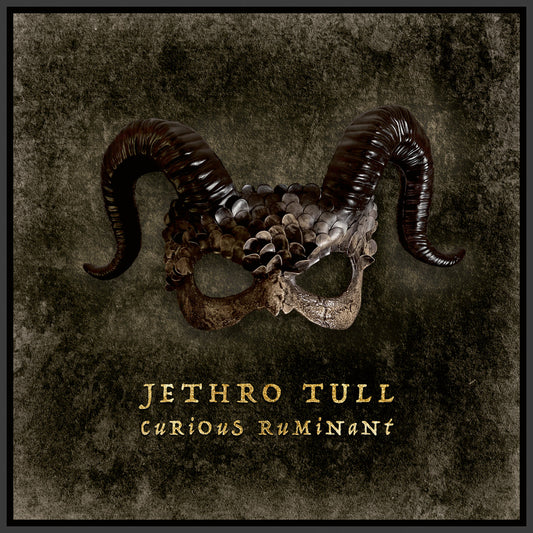 Jethro Tull Curious Ruminant album cover