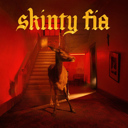 Fontaines D.C. - Skinty Fia cover art