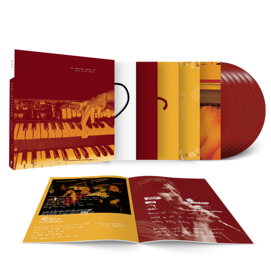 American Analog Set "Destroy Destroy Destroy" 6xLP