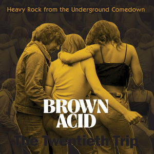 V/A "Brown Acid - The Twentieth Trip" LP