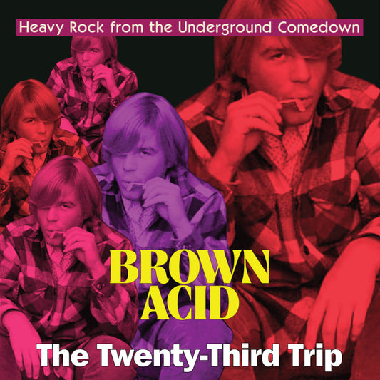V/A “Brown Acid - The Twenty-Third Trip” LP