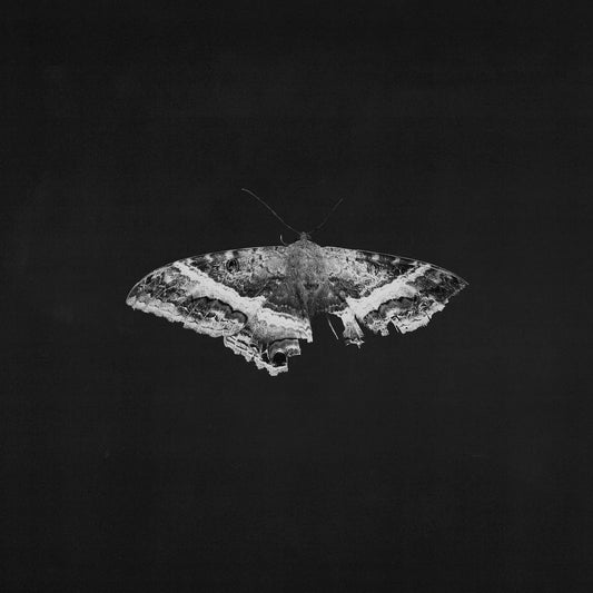 Kendrick Lamar "To Pimp A Butterfly (10 Year Anniversary Edition)" 2xLP