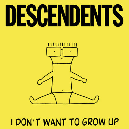 Descendents "I Don't Want to Grow Up" LP