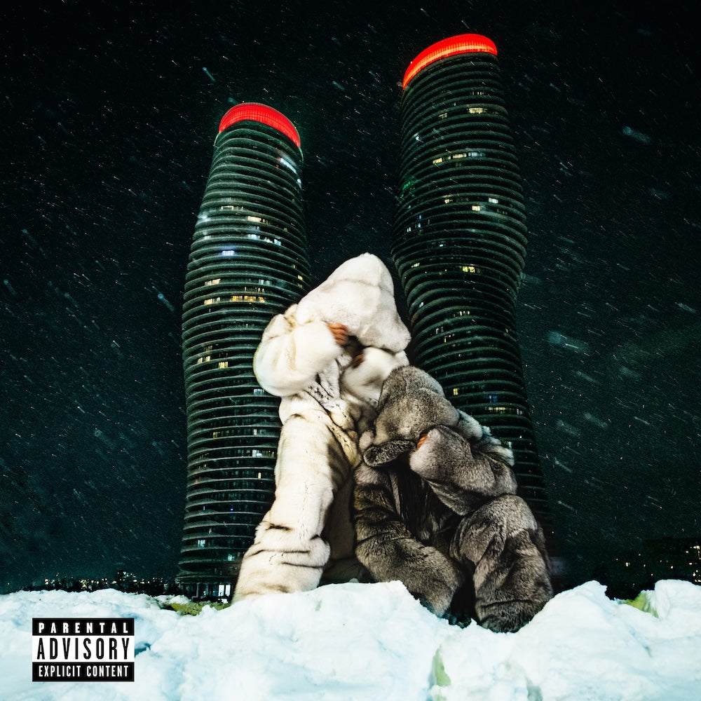 Partynextdoor and Drake "$OME $EXY $ONGS 4 U" 2xLP