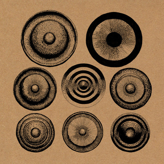 Ensemble Nist-Nah "Elders" LP