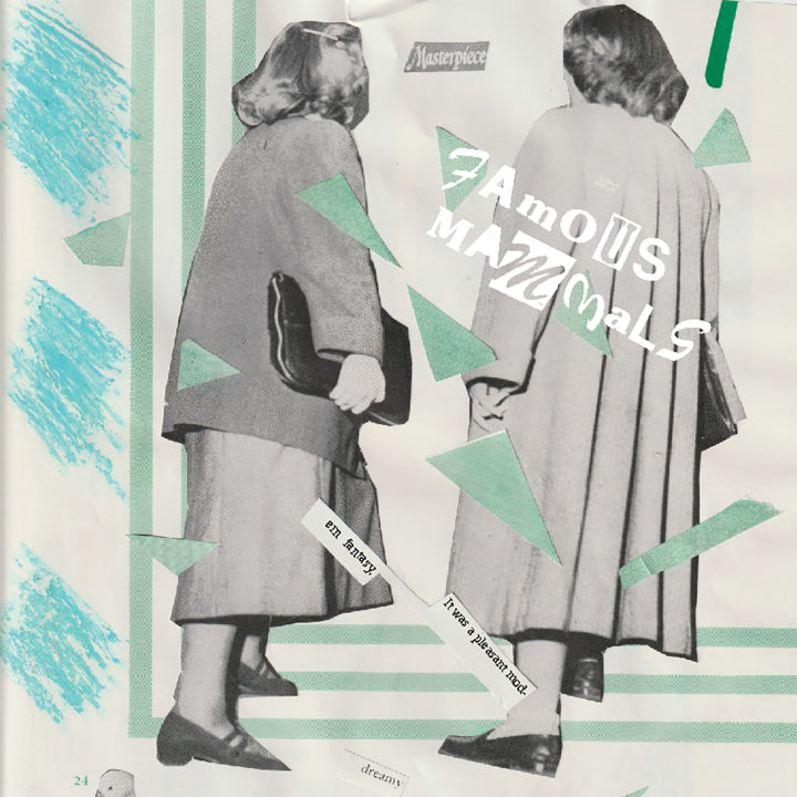 Famous Mammals “It Was A Pleasant Modern Fantasy” LP