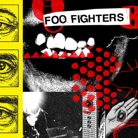 Foo Fighters "Your Favorite Toy" LP