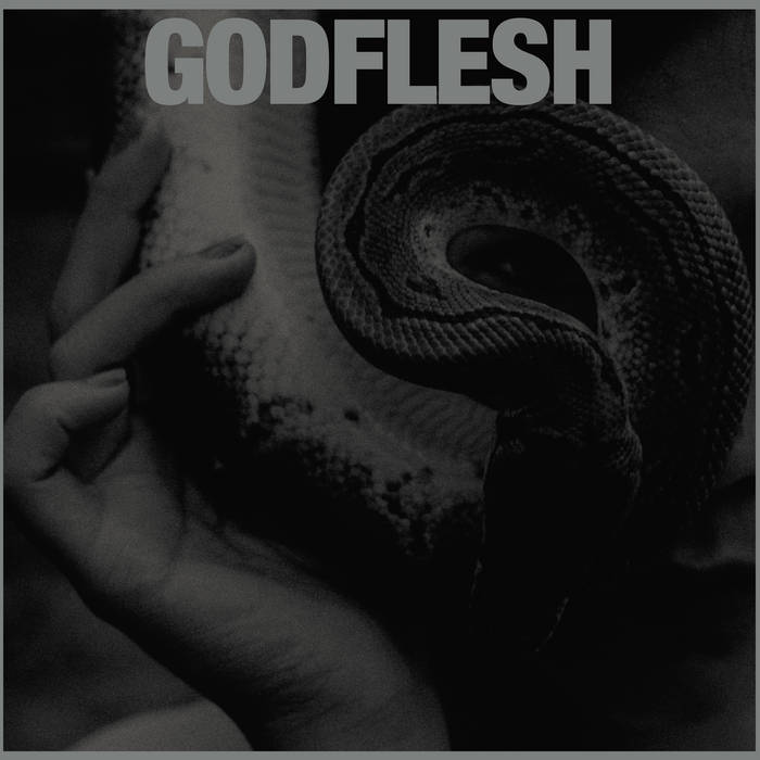 Godflesh "Purge" LP