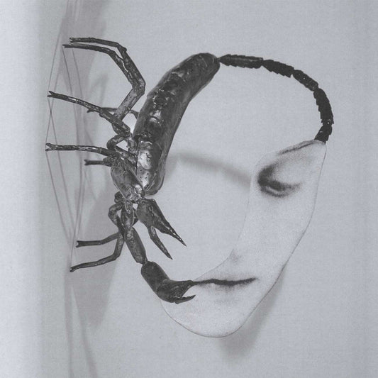 Tortoise "Touch" CD