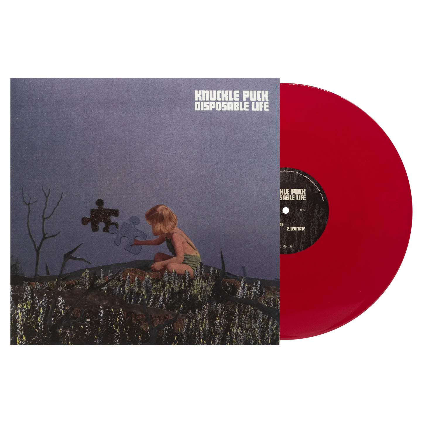 Knuckle Puck "Disposable Life" LP