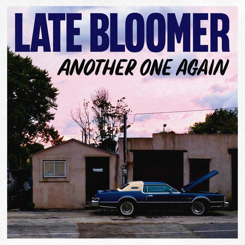 Late Bloomer "Another One Again" LP