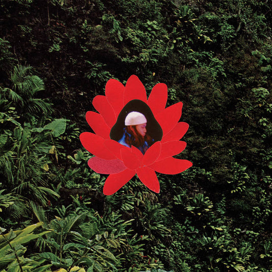 Lionmilk "When The Flowers Bloom" LP